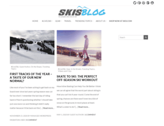 blog.skis.com screenshot