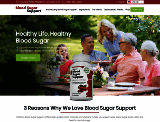 bloodsugarsupport.net screenshot