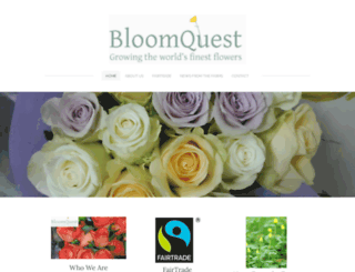 bloomquestusa.com screenshot