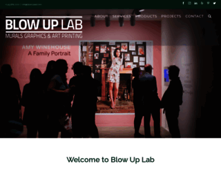 blowuplab.com screenshot