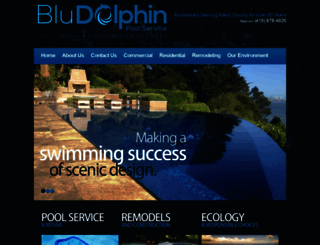 bludolphinpoolservice.com screenshot