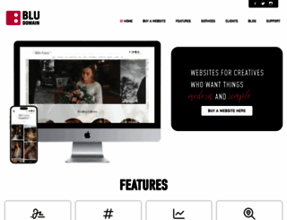 bludomain.com screenshot