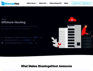 blueangelhost.com screenshot