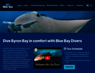 bluebaydivers.com.au screenshot