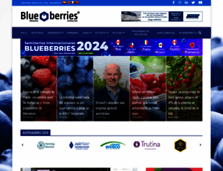 blueberriesconsulting.com screenshot