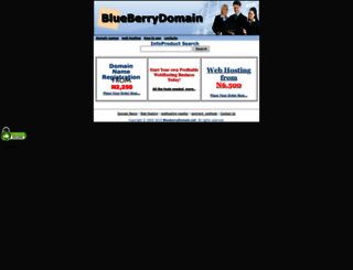blueberrydomain.net screenshot