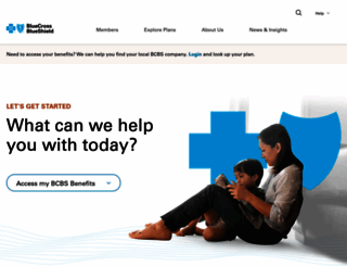 bluecares.com screenshot