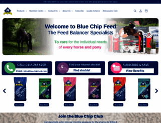 bluechipfeed.com screenshot