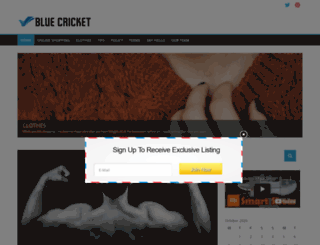 bluecricketdesign.net screenshot