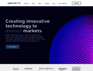 bluefintechnologypartners.com screenshot