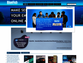bluefish-emarketing.co screenshot