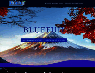 bluefuji.com screenshot