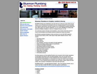 bluemanplumbing.com screenshot