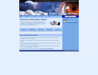 bluemoondigital.com screenshot
