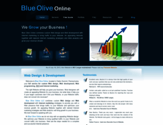 blueoliveonline.com screenshot