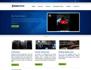 bluerayservices.com screenshot