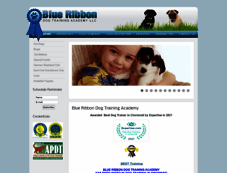 blueribbondogtraining.com screenshot