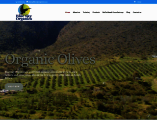 blueskyorganics.co.za screenshot