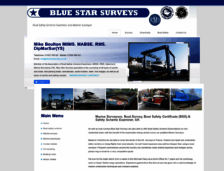 bluestarsurveys.co.uk screenshot