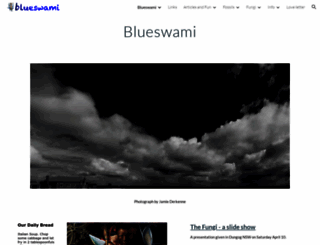 blueswami.com screenshot
