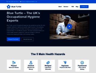 blueturtleltd.co.uk screenshot