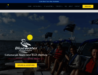bluewateradventurehiltonhead.com screenshot