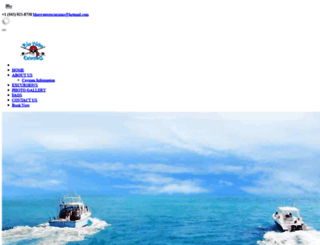 bluewaterexcursions.com screenshot
