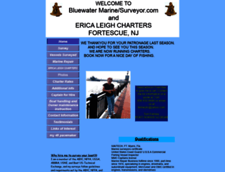 bluewatermarinerepair-surveyor.com screenshot