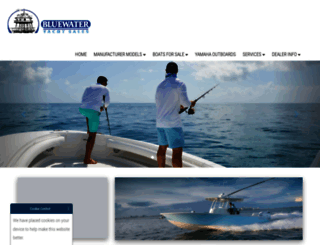 bluewateryachtsales.net screenshot