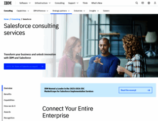 bluewolf.com screenshot