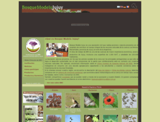 bmj.org.ar screenshot