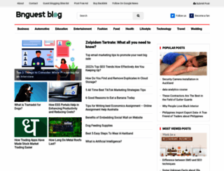 bnguestblog.com screenshot