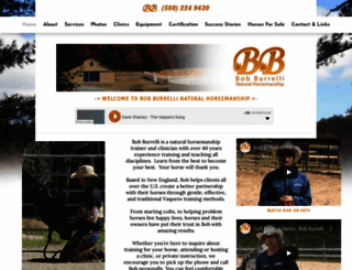 bobburrelli.com screenshot