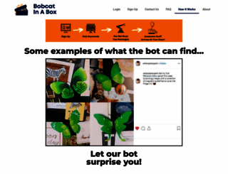 bobcatinabox.com screenshot