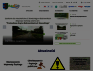bobrowniki.pl screenshot