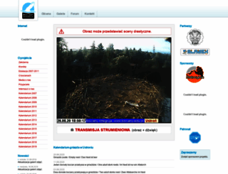 bociany.edu.pl screenshot