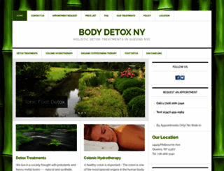bodydetoxny.com screenshot
