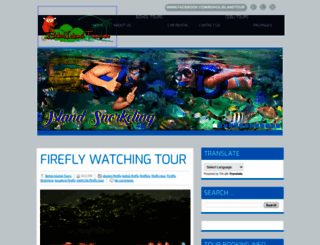 boholislandtour.com screenshot