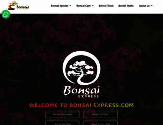 bonsai-express.com screenshot