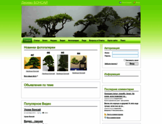 bonsai.net.ru screenshot