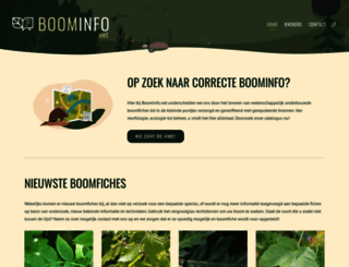 boominfo.net screenshot