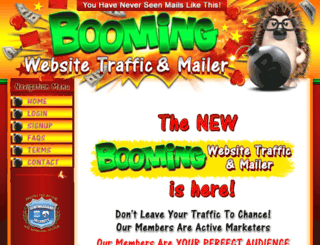 boomingwebsitetraffic.com screenshot