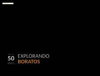 boraxargentina.com screenshot
