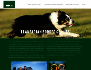 bordercollie.nl screenshot
