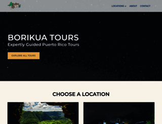 borikuatourspr.com screenshot