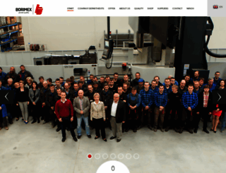 borimex.pl screenshot