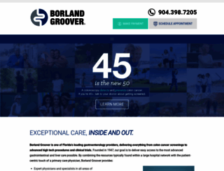 borland-groover.com screenshot