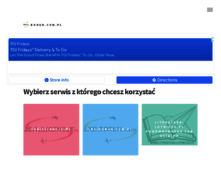 boruh.com.pl screenshot