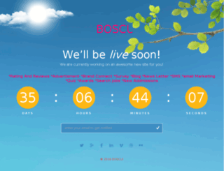 boscui.com screenshot