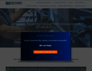 bovino-consulting.com screenshot